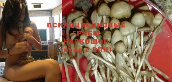 spice Алексин