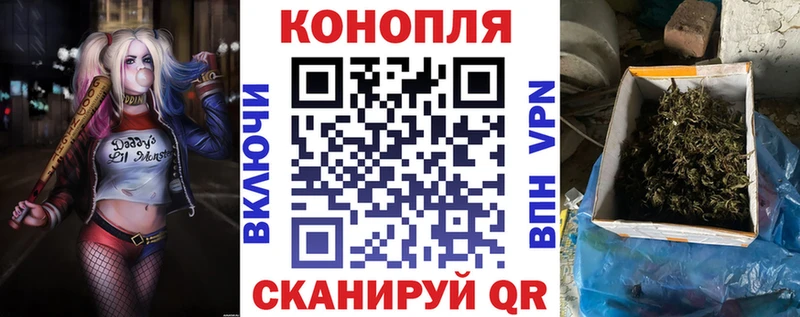магазин    Дербент  Шишки марихуана планчик 